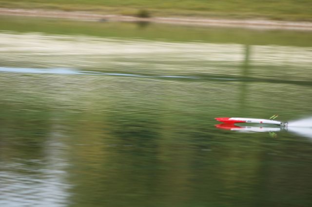 141.JPG