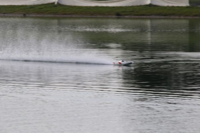 198.JPG