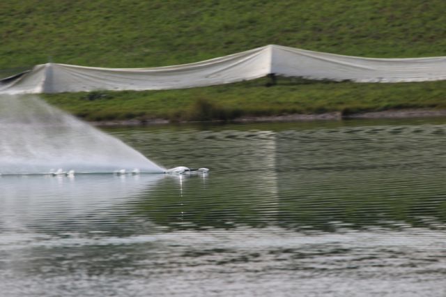221.JPG