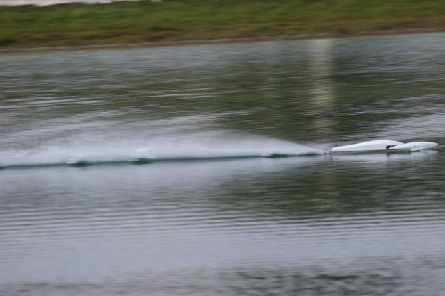 224.JPG