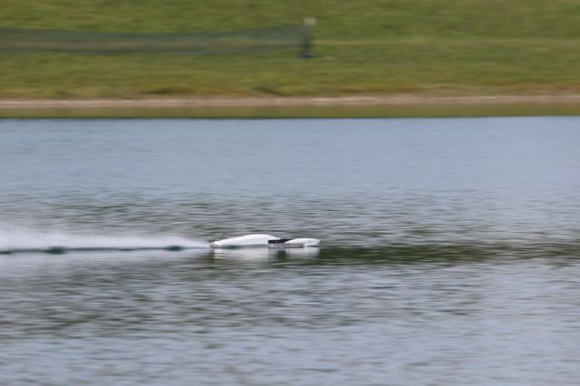 225.JPG