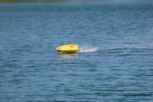 295.JPG
