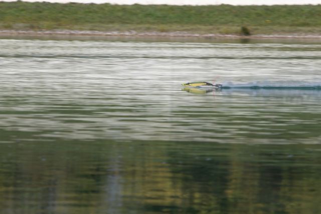 304.JPG
