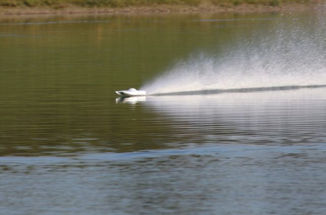 800.JPG