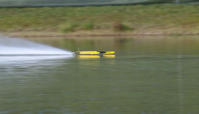 896.JPG