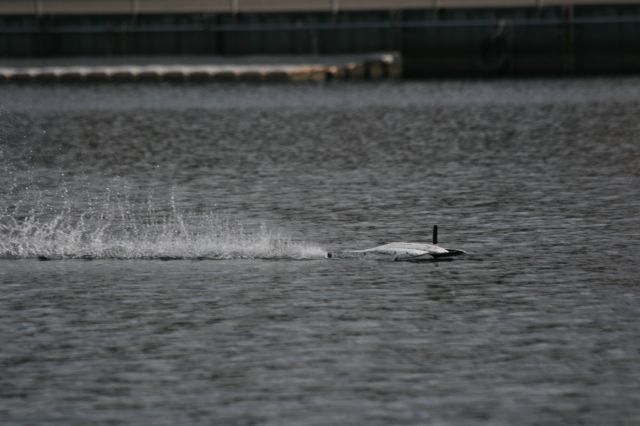 SAW_Regatta_2011_1753.JPG