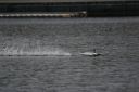 Dateiname=SAW_Regatta_2011_1753.JPG
Dateigröße=447KB
Abmessungen: 1021x681
hinzugefügt am: 10. Januar 2012 SAW_Regatta_2011_1753.JPG